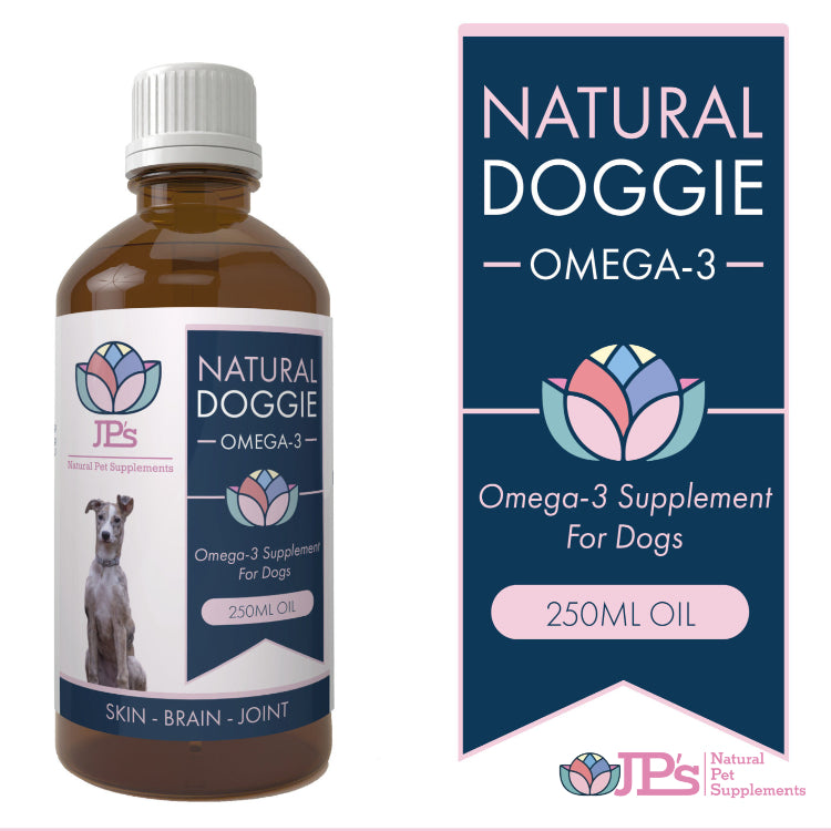 Anchovy Omega-3 Benefits for Dogs: Best Sources & Supplements