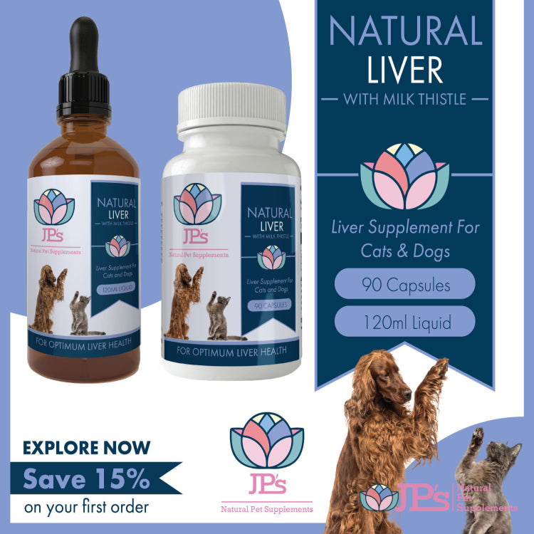 Best Liver Supplements For Dogs UK