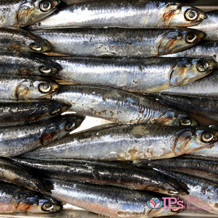 Omega-3 fish oil from anchovies