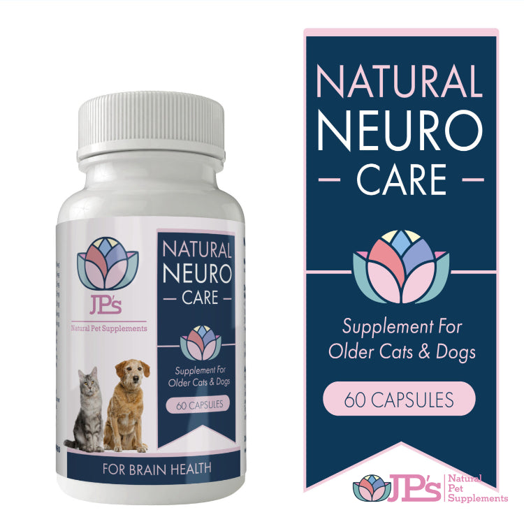 Phosphatidylserine Supplements: Dogs & Cats Benefits Guide