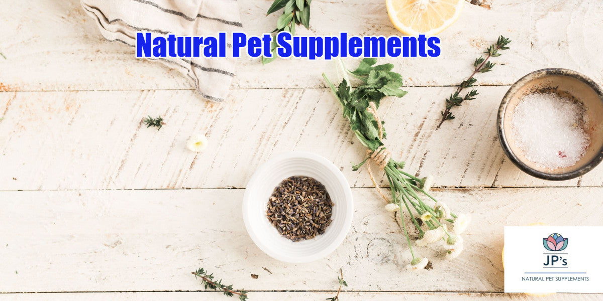 Natural Pet Supplements