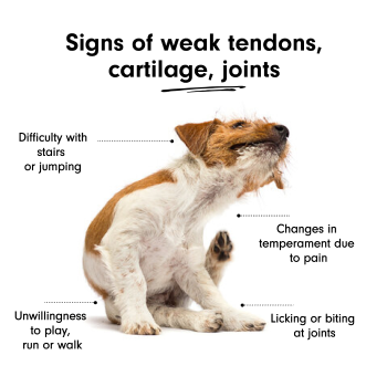 Natural Dog Joint Supplement with Boswellia &amp; Turmeric