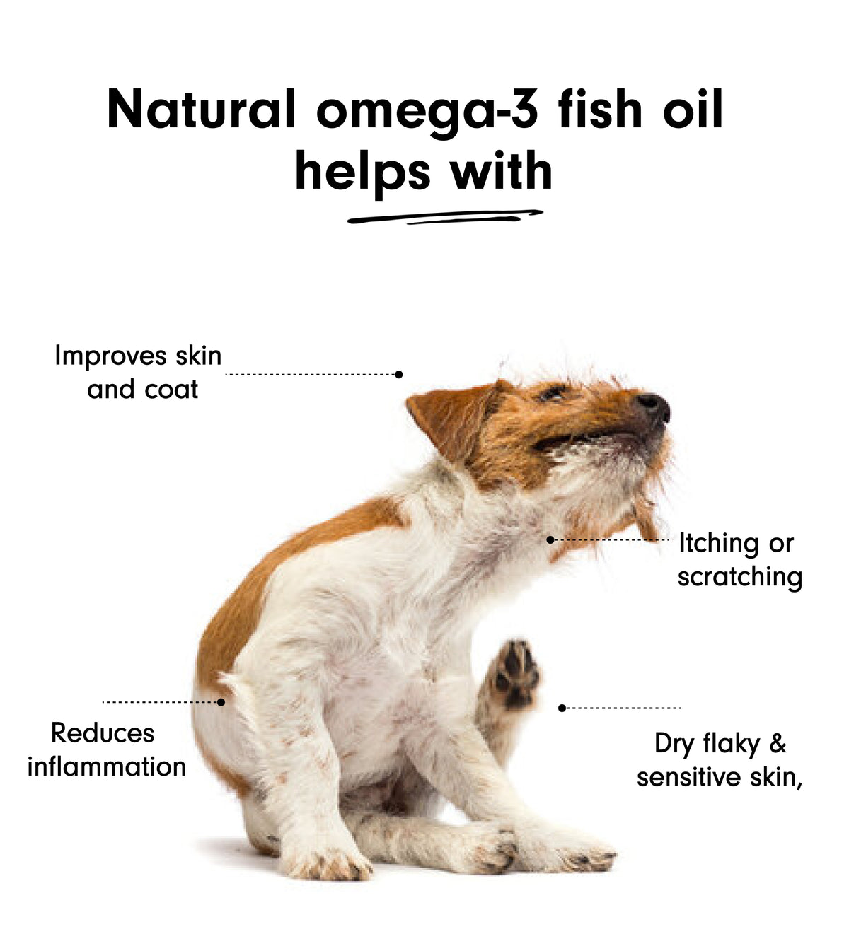 Natural Omega-3 Fish Oil For Dogs