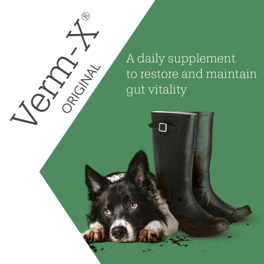 Verm-X Crunchy Treats for Dogs - JP Holistic Nutrition 