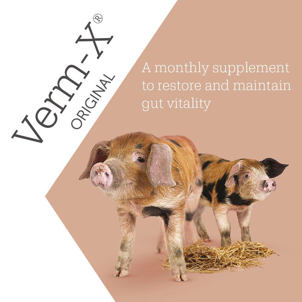 Verm-X Pellets for Pigs - JP Holistic Nutrition 