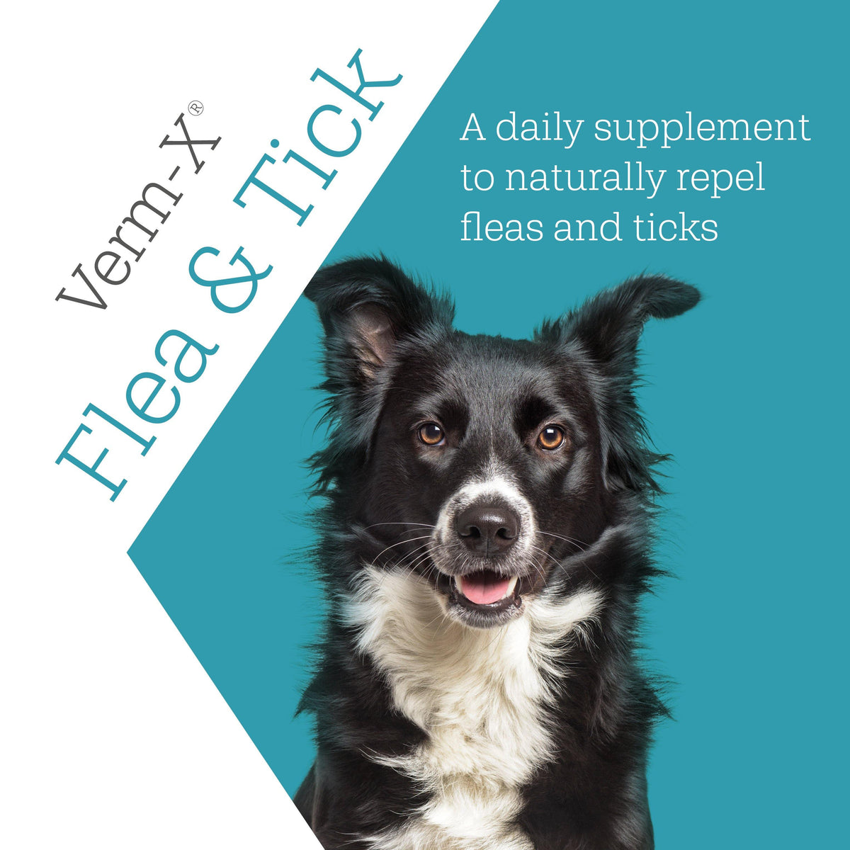 Verm-X Flea &amp; Tick Powder 70g - JP Holistic Nutrition 