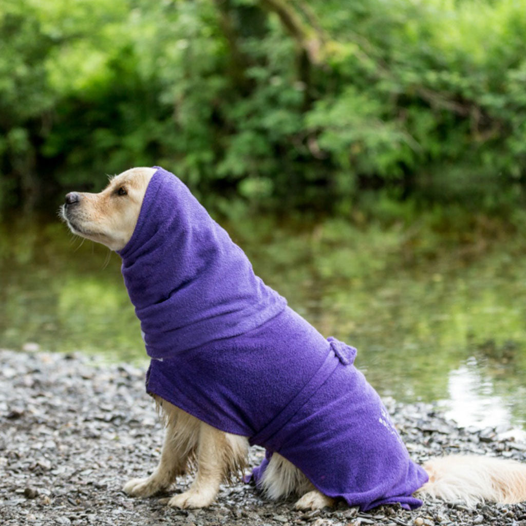 Dogrobe snoods are trusted and loved by dogs’ owners and their pets as they are ideal for drying your dog&#39;s head, neck and ears. Dog snood in purple.