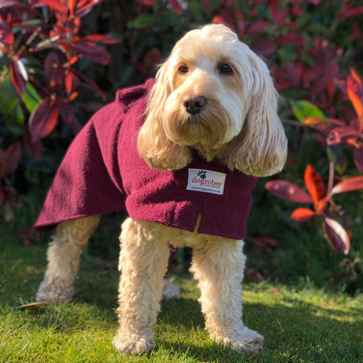 Dog Coat for Outdoors with Harness Access Opening in 9 colours